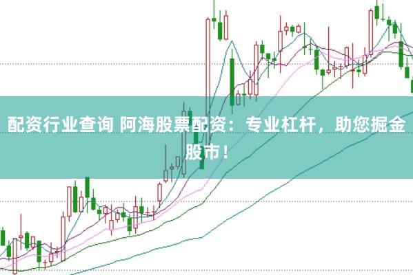 配资行业查询 阿海股票配资：专业杠杆，助您掘金股市！
