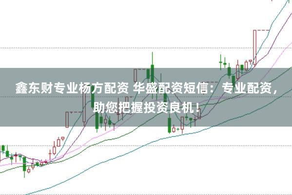 鑫东财专业杨方配资 华盛配资短信：专业配资，助您把握投资良机！