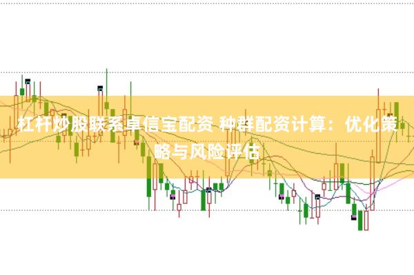 杠杆炒股联系卓信宝配资 种群配资计算：优化策略与风险评估