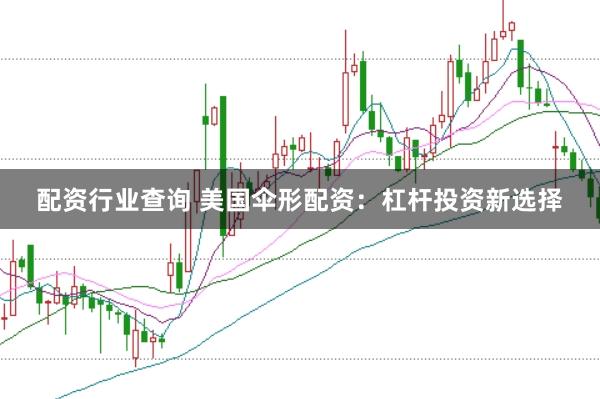 配资行业查询 美国伞形配资：杠杆投资新选择