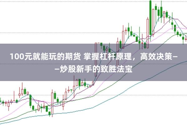 100元就能玩的期货 掌握杠杆原理，高效决策——炒股新手的致胜法宝