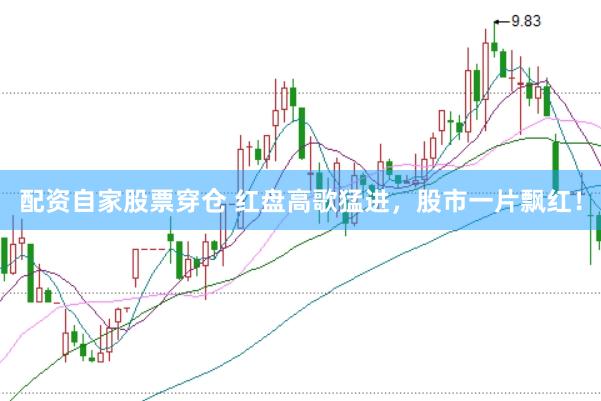 配资自家股票穿仓 红盘高歌猛进，股市一片飘红！