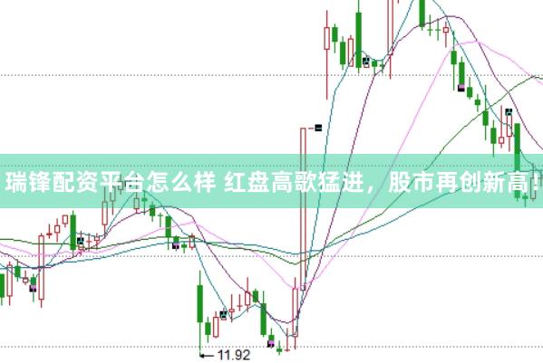 瑞锋配资平台怎么样 红盘高歌猛进，股市再创新高！