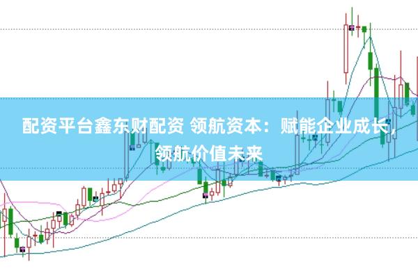 配资平台鑫东财配资 领航资本：赋能企业成长，领航价值未来