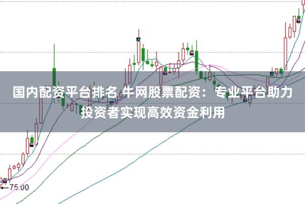 国内配资平台排名 牛网股票配资：专业平台助力投资者实现高效资金利用