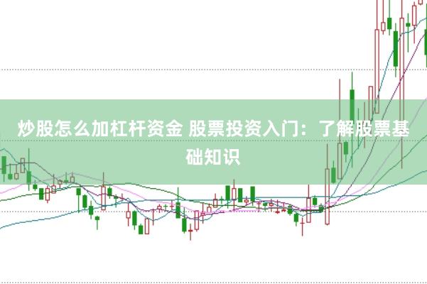 炒股怎么加杠杆资金 股票投资入门：了解股票基础知识