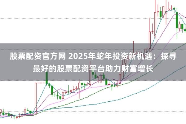 股票配资官方网 2025年蛇年投资新机遇：探寻最好的股票配资平台助力财富增长