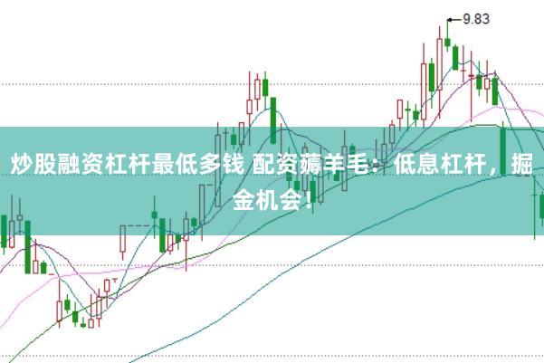 炒股融资杠杆最低多钱 配资薅羊毛：低息杠杆，掘金机会！