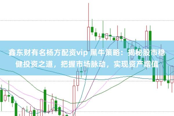 鑫东财有名杨方配资vip 黑牛策略：揭秘股市稳健投资之道，把握市场脉动，实现资产增值