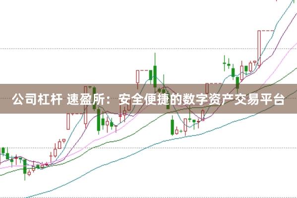 公司杠杆 速盈所：安全便捷的数字资产交易平台
