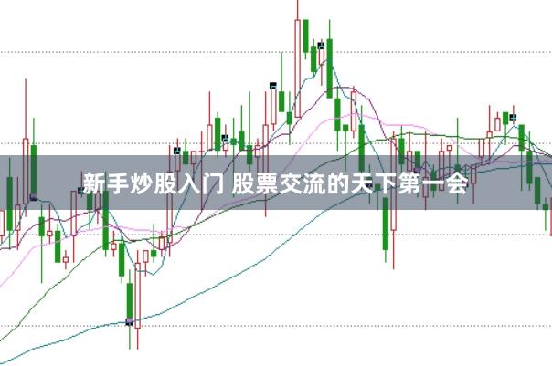 新手炒股入门 股票交流的天下第一会
