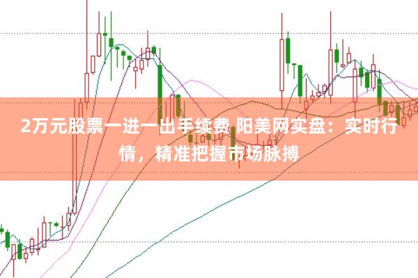 2万元股票一进一出手续费 阳美网实盘:实时行情,精准把握市场脉搏