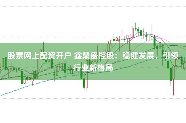 股票网上配资开户 鑫鼎盛控股:稳健发展,引领行业新格局