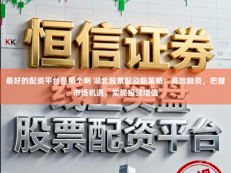 最好的配资平台是那个啊 湖北股票配资新策略：高效融资，把握市场机遇，实现投资增值